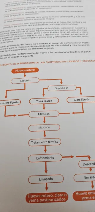 El gran libro del huevo: Instituto de Estudios ...