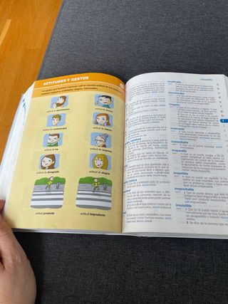 Diccionario de Primaria (Spanish and English Ed...