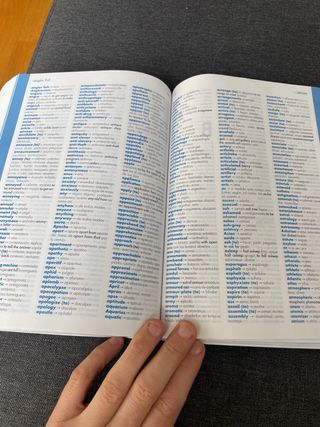 Diccionario de Primaria (Spanish and English Ed...