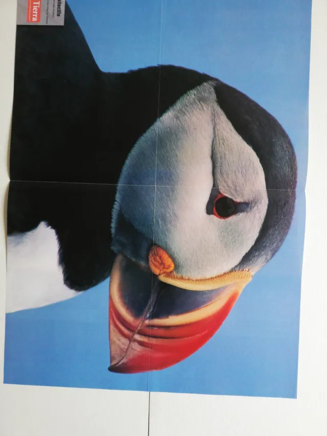 Varios Pósteres Revista La Tierra