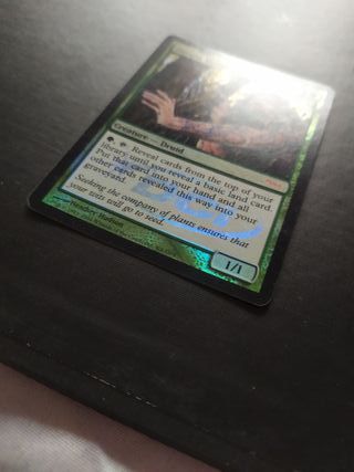 Hermit Druid Foil Judge Promo MTG