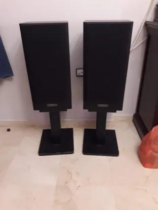 Altavoces Pioneer Negros