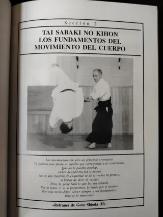 Aikido total (Spanish Edition)
