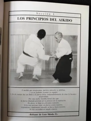 Aikido total (Spanish Edition)