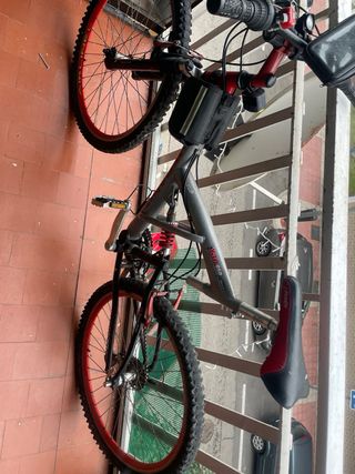 Bicicleta de Montaña