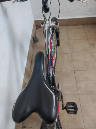 Bicicleta Orbea Montaña