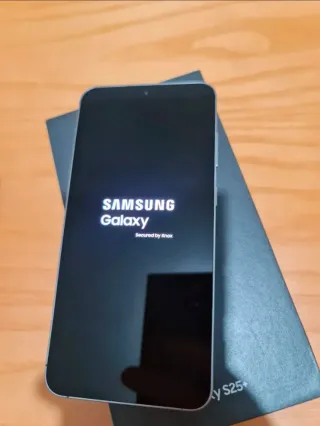 Samsung Galaxy S25+ Gris con Factura