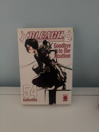 Bleach 54: Goodbye to Our Xcutio