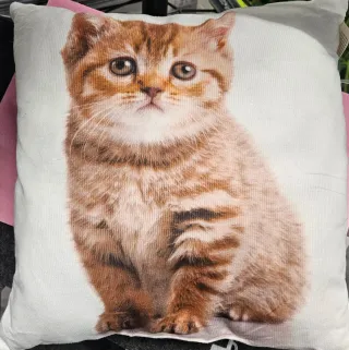 Cojín decorativo gatito