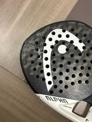 Pala Head Alpha Motion