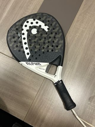 Pala Head Alpha Motion