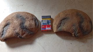 2 Cuevas para terrario (marrón/gris)