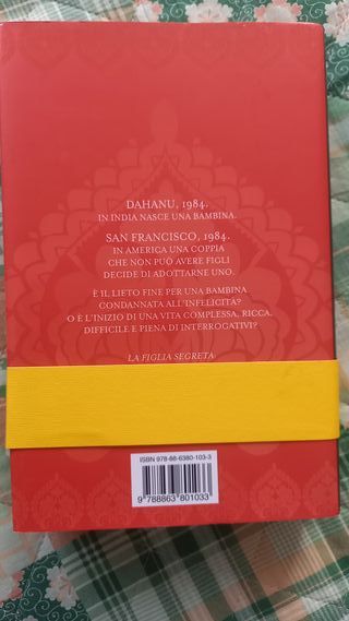 La figlia segreta romanzo