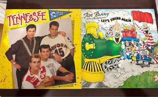 Lote Vinilos Tennessee + Jive Bunny