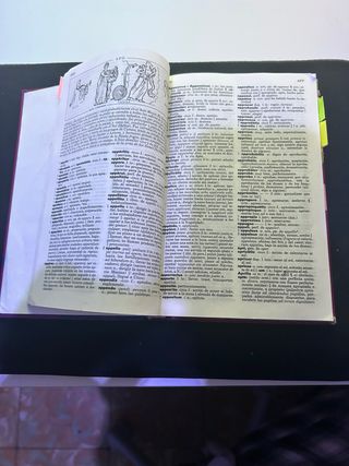 Se vende diccionario de latin. No se hacen envíos.