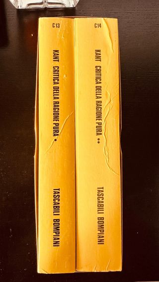 Critica della ragion pura