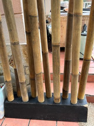 Decoración cañas de bambú