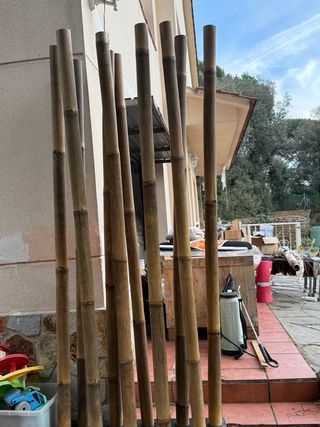 Decoración cañas de bambú