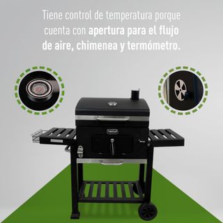 Amig - Barbacoa Fireplus Portátil de Carbón | Barb