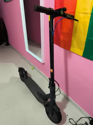 Patinete Eléctrico Xiaomi