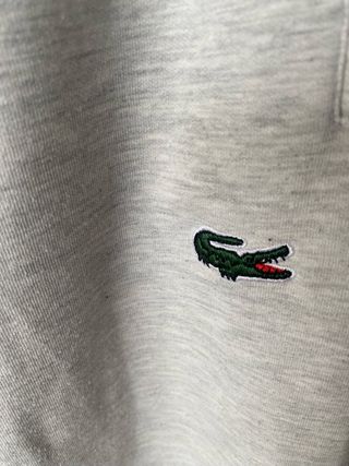 Chándal completo niño Lacoste