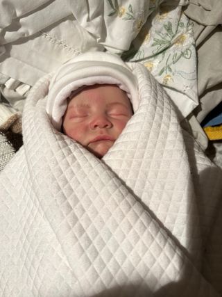 Muñeca Reborn realista