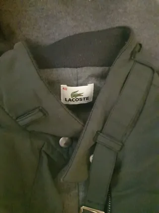 Lote Ropa: Jerseys y Sudaderas Variadas