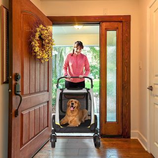 BingoPaw Carro Perro: Carrito para Perros Plegable