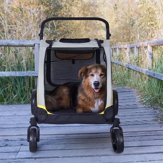 BingoPaw Carro Perro: Carrito para Perros Plegable