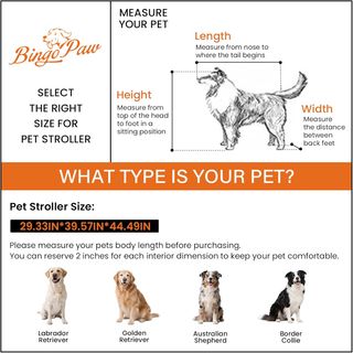 BingoPaw Carro Perro: Carrito para Perros Plegable
