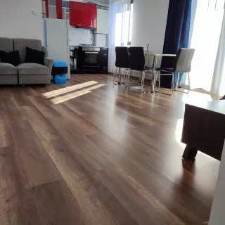 Carpintero y albañil profesional