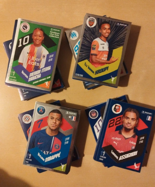 Lotto figurine Panini Foot France 2024