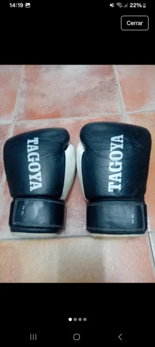 Guantes de boxeo Tagoya 10 oz