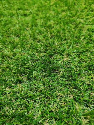 Rullone di erba sintetica grande artificiale 20mm di altezza