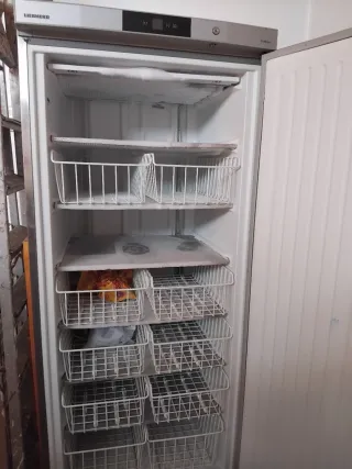 Congelador vertical acero inoxidable