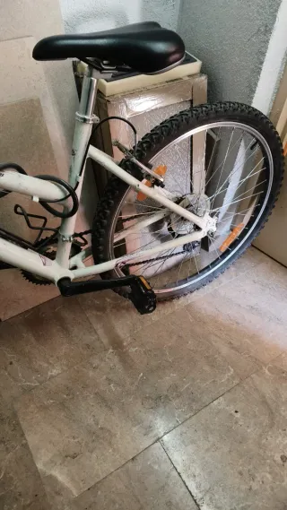 Bicicleta blanca