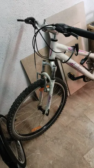 Bicicleta blanca