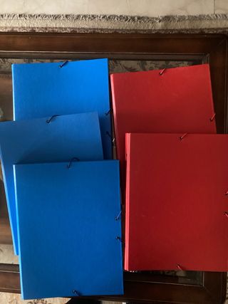 Clasificador con solapa 12 separadores. 5 unidades