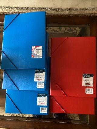 Clasificador con solapa 12 separadores. 5 unidades