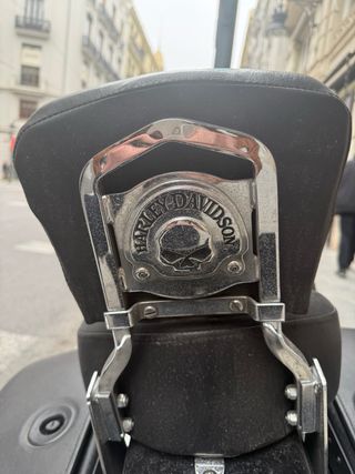 Harley Davidson 1200 R Custom