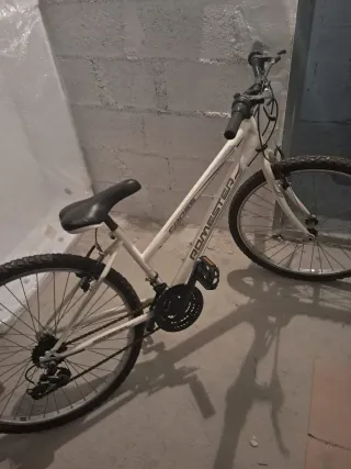 2 Bicicletas Montaña