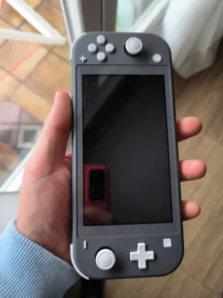 Nintendo Switch Lite Gris