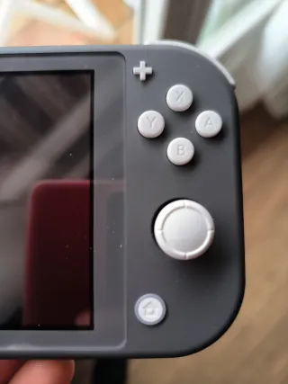 Nintendo Switch Lite Gris