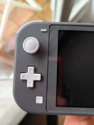 Nintendo Switch Lite Gris
