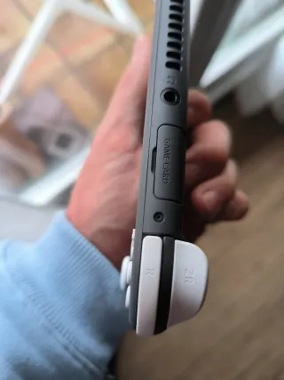 Nintendo Switch Lite Gris