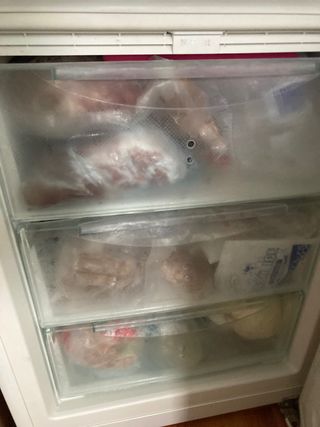 Frigorífico plateado Funciona la parte congelada