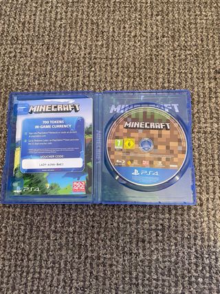 Minecraft PS4 VR Compatible
