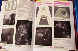 Manuali Aims 2015 Concorsi Medici Completa