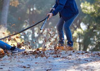 Nilfisk Buddy II 18L INOX Aspirador de Agua y Polv