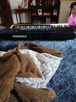 Teclado Ringway CK62+ 5 octavas